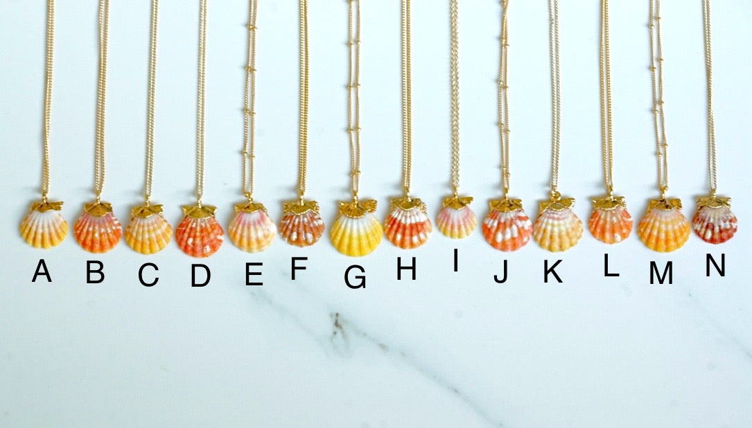 24k Gold-dipped Mini Sunrise Shell Necklace – Rise Hawaii
