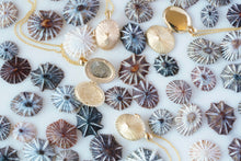 Load image into Gallery viewer, Opihi Locket Necklace