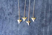 Load image into Gallery viewer, 24k Gold-Dipped Mini Shark Tooth Necklace