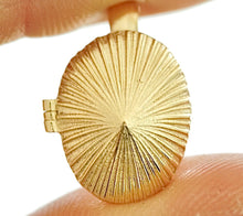 Load image into Gallery viewer, Opihi Locket Necklace