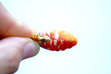 Load image into Gallery viewer, 24k Gold-Dipped Natural Sunrise Shell Pair Necklace