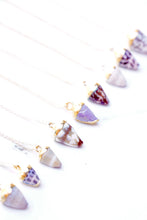 Load image into Gallery viewer, Miniature Cone Shell Necklace