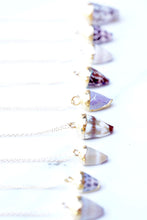 Load image into Gallery viewer, Miniature Cone Shell Necklace