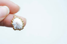 Load image into Gallery viewer, 24k Gold-Dipped White Opihi Necklace