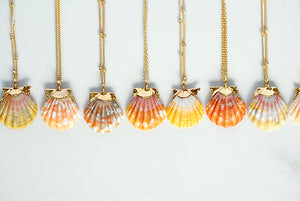 24k Gold-Dipped Mini Sunrise Shell Necklace