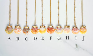 24k Gold-Dipped Mini Sunrise Shell Necklace