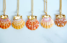 Load image into Gallery viewer, 24k Gold-dipped Mini Sunrise Shell Necklace

