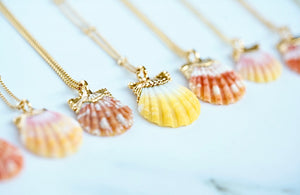 24k Gold-dipped Mini Sunrise Shell Necklace