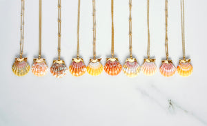 24k Gold-Dipped Mini Sunrise Shell Necklace