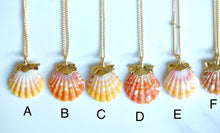Load image into Gallery viewer, 24k Gold-dipped Mini Sunrise Shell Necklace
