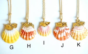 24k Gold-dipped Mini Sunrise Shell Necklace