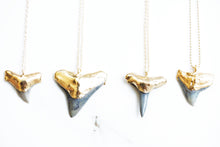 Load image into Gallery viewer, Gold-dipped Fossilized Shark Tooth Necklace
