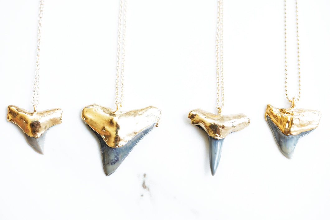 Gold-dipped Fossilized Shark Tooth Necklace