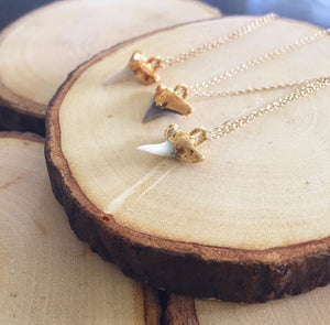24k Gold-Dipped Mini Shark Tooth Necklace