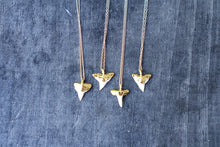Load image into Gallery viewer, 24k Gold-Dipped Mini Shark Tooth Necklace

