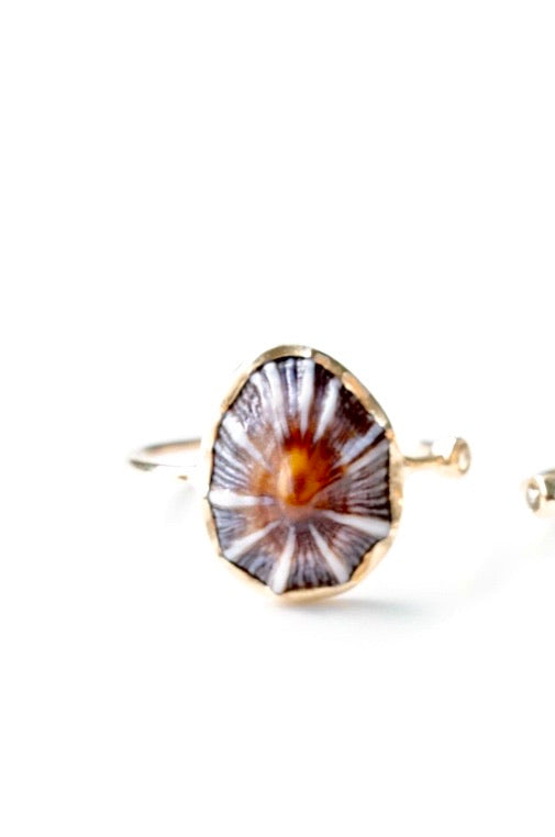 ‘Kiyomi’ Opihi Ring – Rise Hawaii