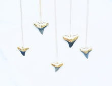 Load image into Gallery viewer, Gold-dipped Fossilized Shark Tooth Necklace
