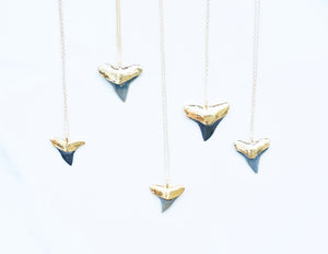 Gold-dipped Fossilized Shark Tooth Necklace