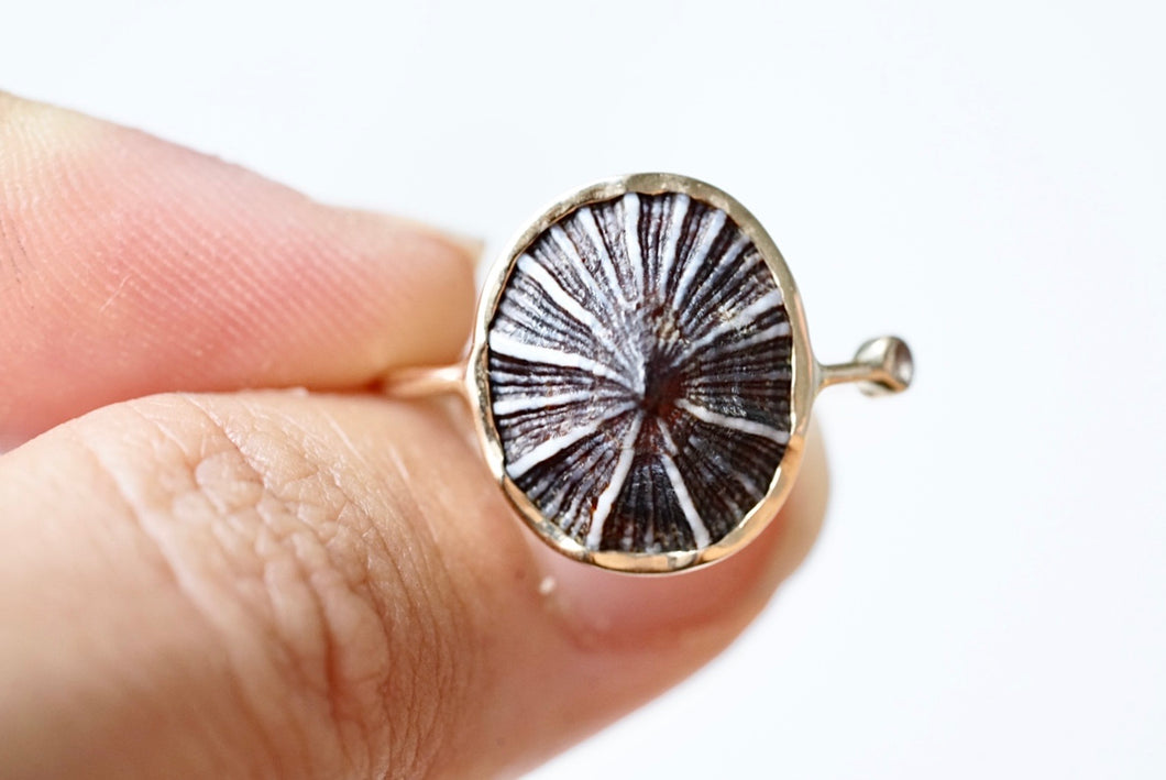 ‘Kiyomi’ Opihi Ring